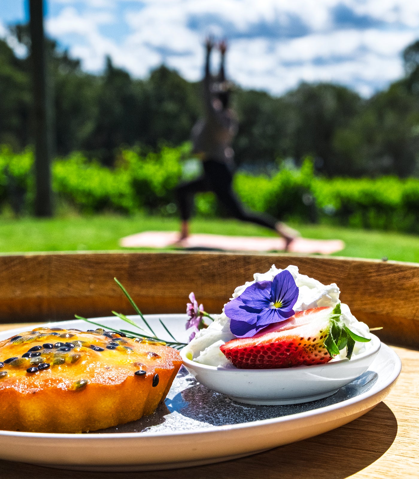 FREE YOGA | Vinyasa in the Vines