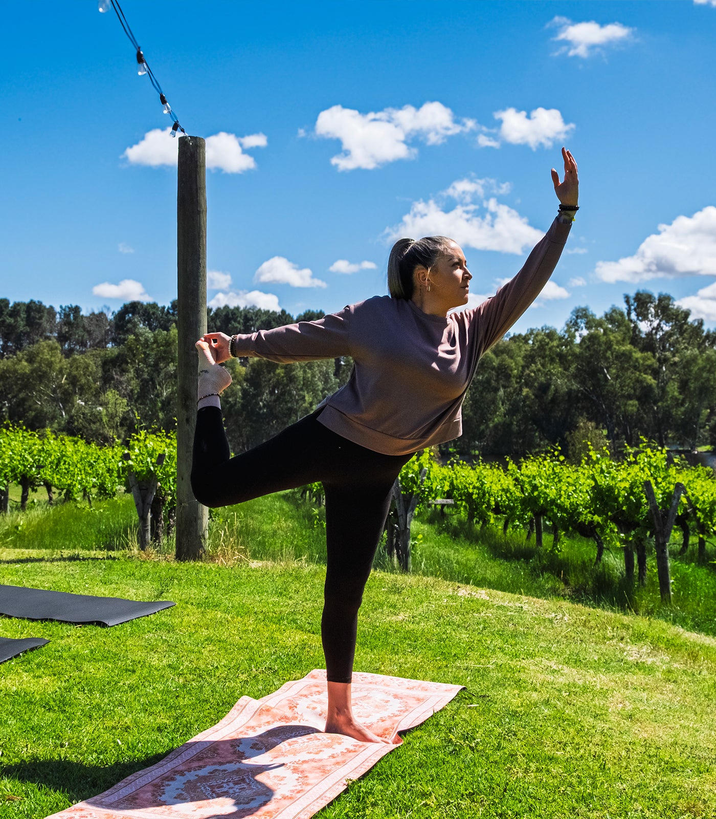FREE YOGA | Vinyasa in the Vines