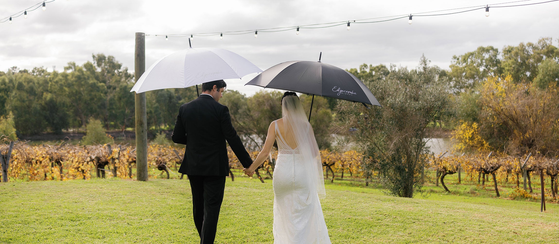 A bride and groom holding hands under umbrellas in a vineyard setting