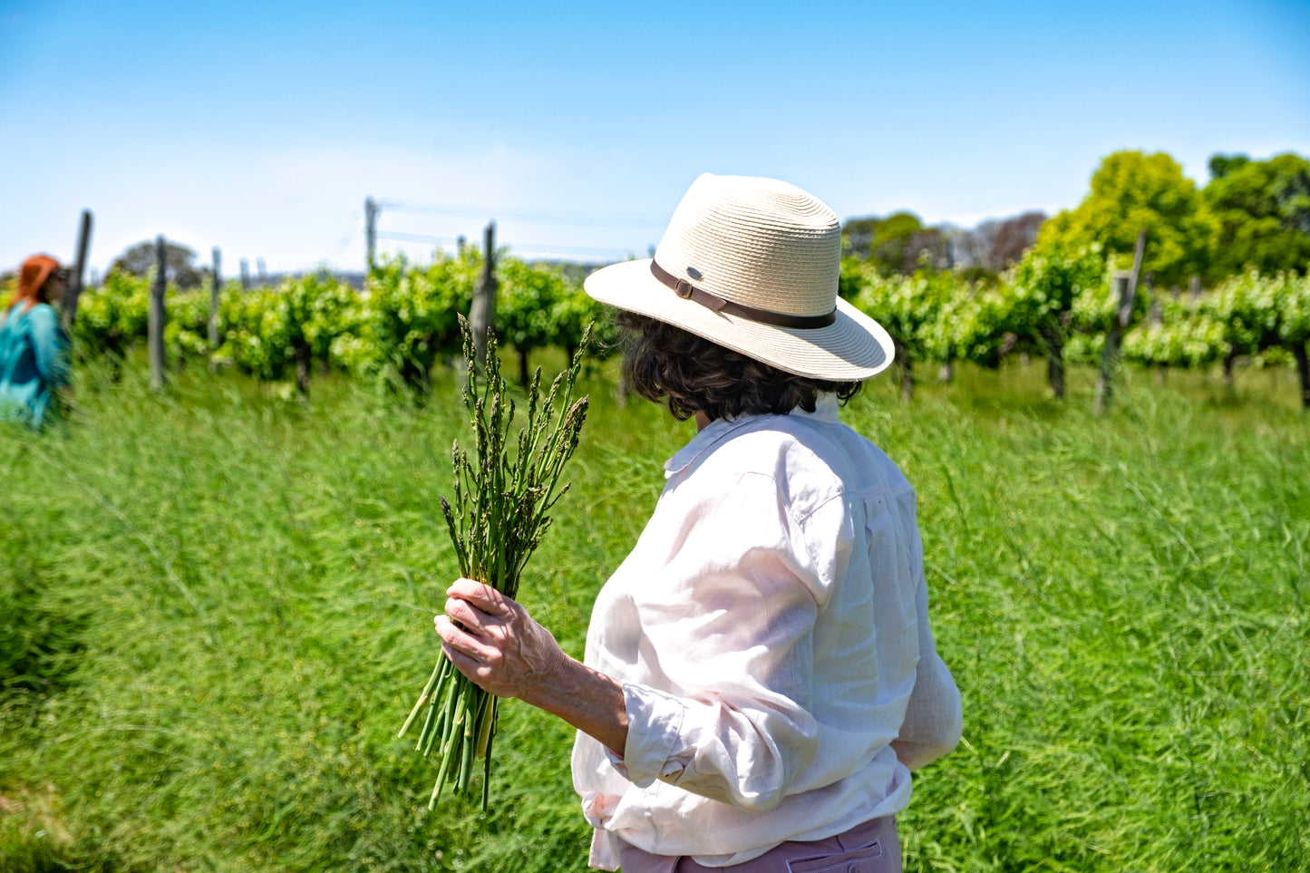 Asparagus Masterclass 2025