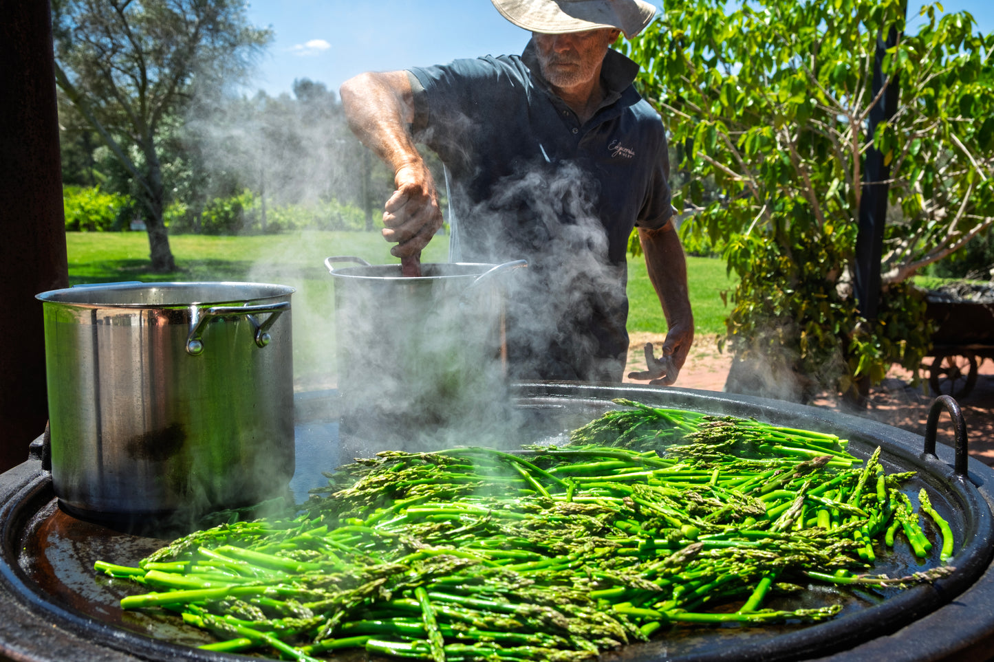 Asparagus Masterclass 2025