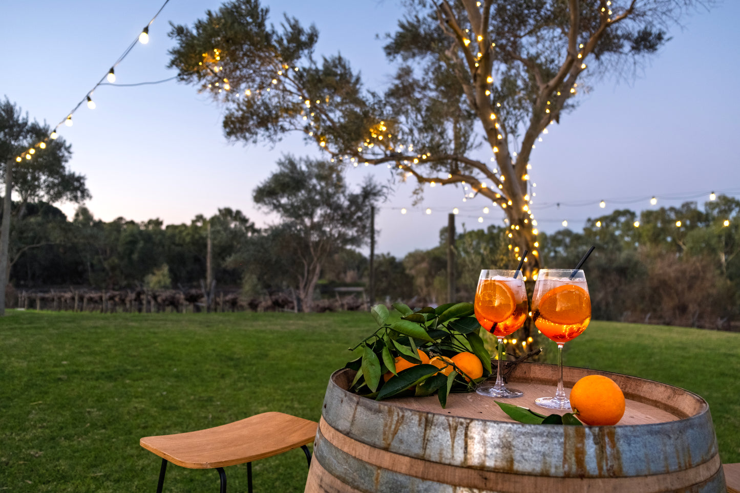 🍊 Spring Aperitivo Dinner