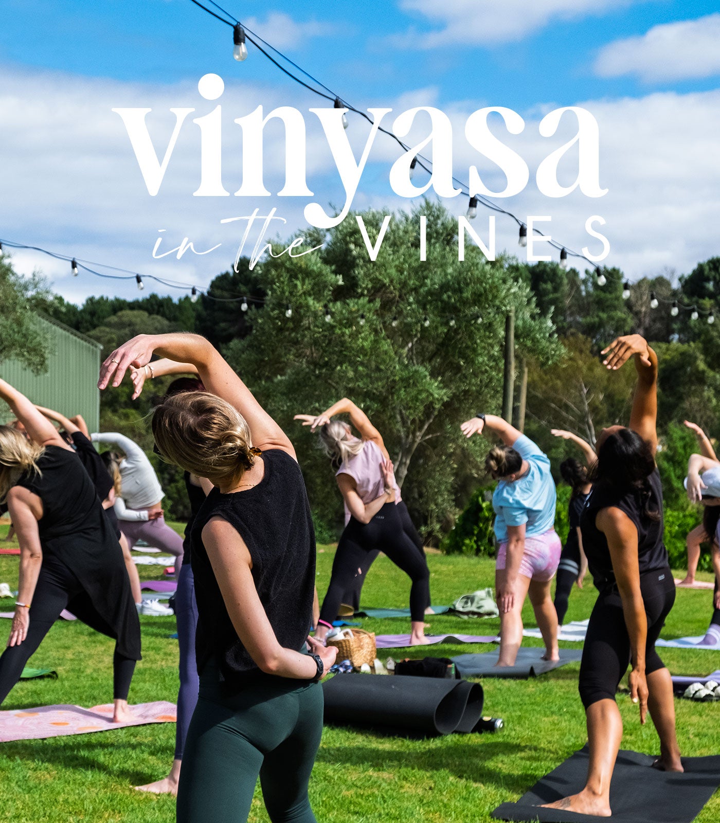 Vinyasa in the Vines