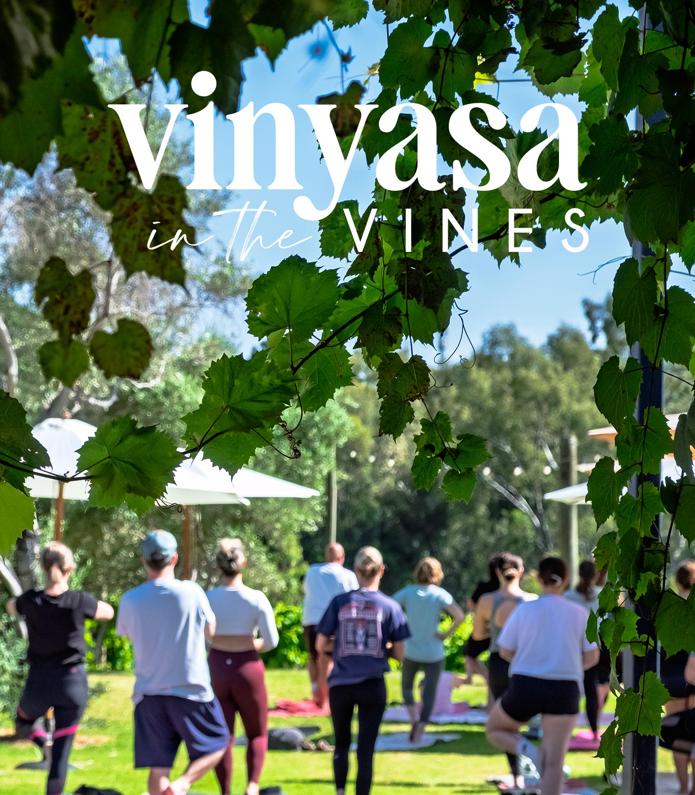 Vinyasa in the Vines